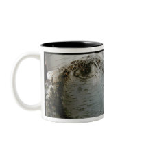 Tree Eyes II mugs