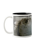 Tree Eyes II Coffee Mug