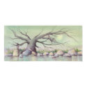 TREE FAERIES by SHARON SHARPE posters