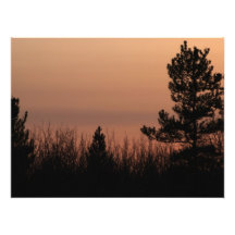Tree Family Photo Print