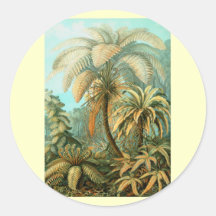 Tree Fern Round Stickers