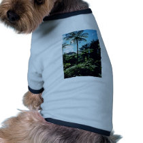 Tree Ferns, Coromandel Peninsula, North Island Pet Clothes