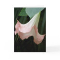 tree flower card