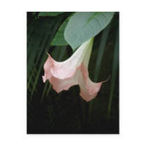 tree flower postcard