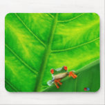 Tree Frog #1 Mouse Pad
