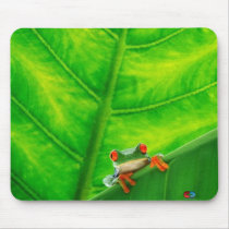 Tree Frog #1 mousepads by clarachandler Tree Frog #1 mousepads