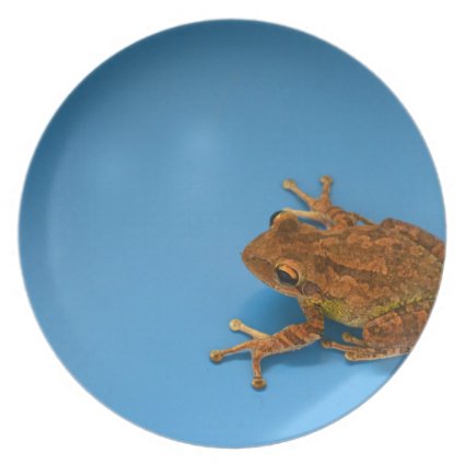 Tree frog against blue background on right party plates