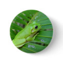 tree frog buttons by kathiscc tree frog buttons