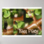 Tree Frog Collage, same frog different poses Poster