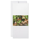 Tree Frog Collage, same frog different poses Customized Rack Card