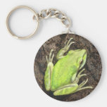 Tree Frog Key Chain