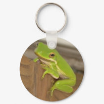 Tree Frog KeyChain