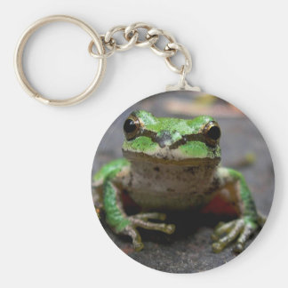 kermit the frog key chain