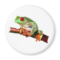 Tree Frog magnets