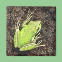 Tree Frog Magnet - "Envy Green" magnets
