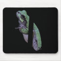Tree Frog Mousepad by XSarenkaX Tree Frog Mousepad