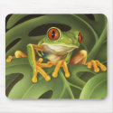 Tree Frog mousepads