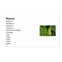 Tree Frog Photo Business Card Templates
