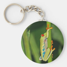 Tree Frog Photo Keychain