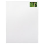 Tree Frog Photo Personalized Letterhead