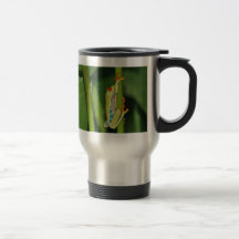 Tree Frog Photo Mug