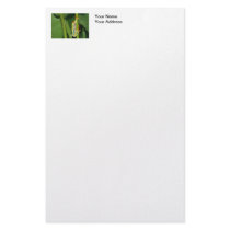Tree Frog Photo Stationery Paper