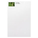 Tree Frog Photo stationery