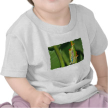 Tree Frog Photo T-shirts