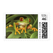 Tree Frog Stamp