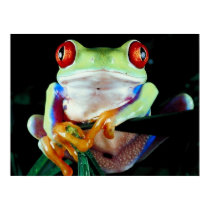 Tree Frog poster posters by photoinspiration Tree Frog poster posters