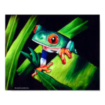 Tree Frog posters