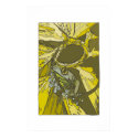 tree frog posters