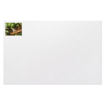 Tree frog ready to spring out of bonsai tree stationery
