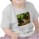 Tree frog ready to spring out of bonsai tree t-shirt