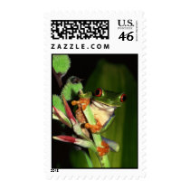 Tree Frog stamps by photoinspiration Tree Frog stamps
