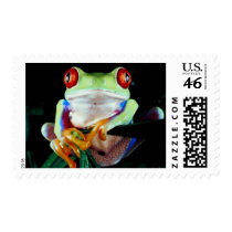 Tree Frog stamps by photoinspiration Tree Frog stamps