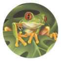Tree Frog Sticker
