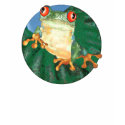 Tree Frog T-Shirt
