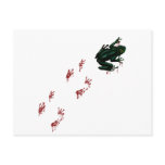 Tree Frog with Bloody Tracks Post Card