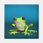 tree frogs magnet