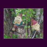 TREE GNOMES