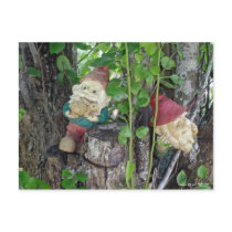 TREE GNOMES postcards by sqarehead TREE GNOMES postcards