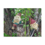 TREE GNOMES POST CARDS