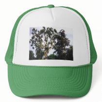 Tree hats