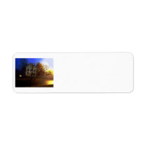 Tree House – Gold and Blue Glory labels