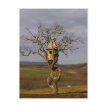 Tree House postcards