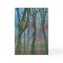 Tree House view, card
