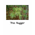 Tree Hugger Ladies Tshirt by shellmart Tree Hugger Ladies Tshirt
