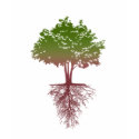 Tree hugger t-shirts