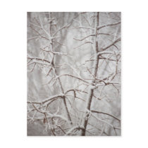 Tree in a Snowstorm Postcard